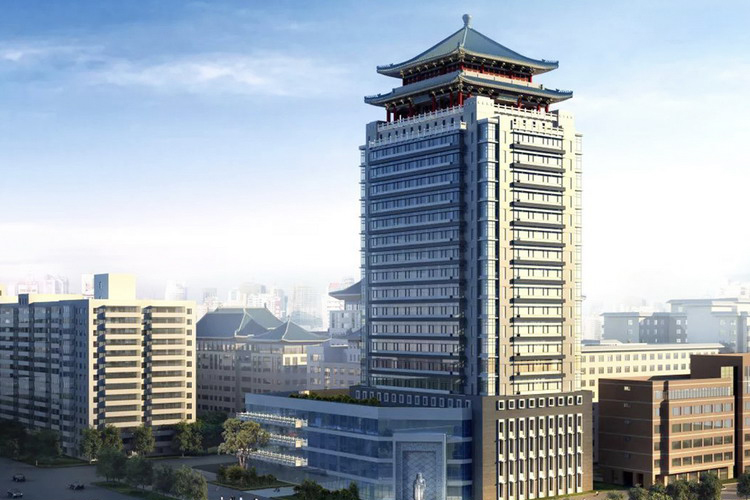 80682311301819336548